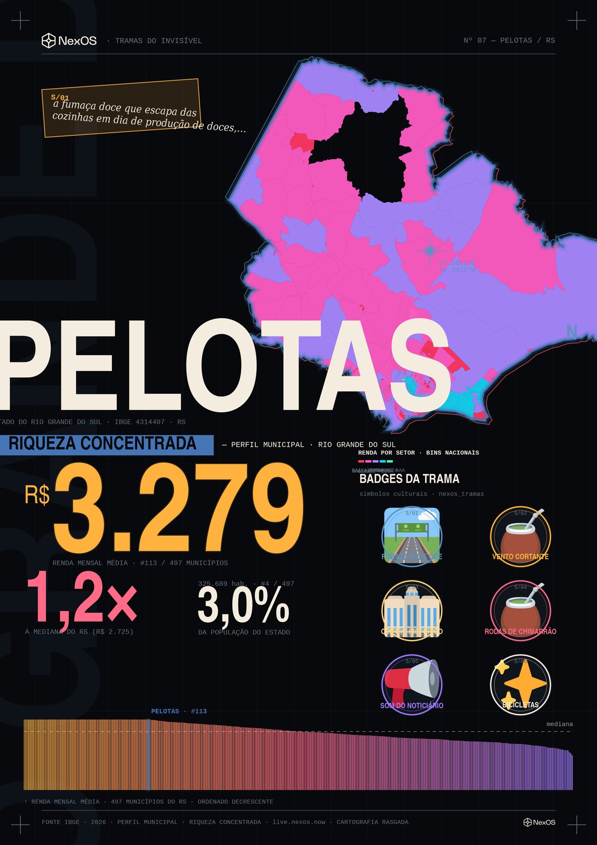 Tramas poster of Pelotas, RS — a territorial x-ray on a single sheet
